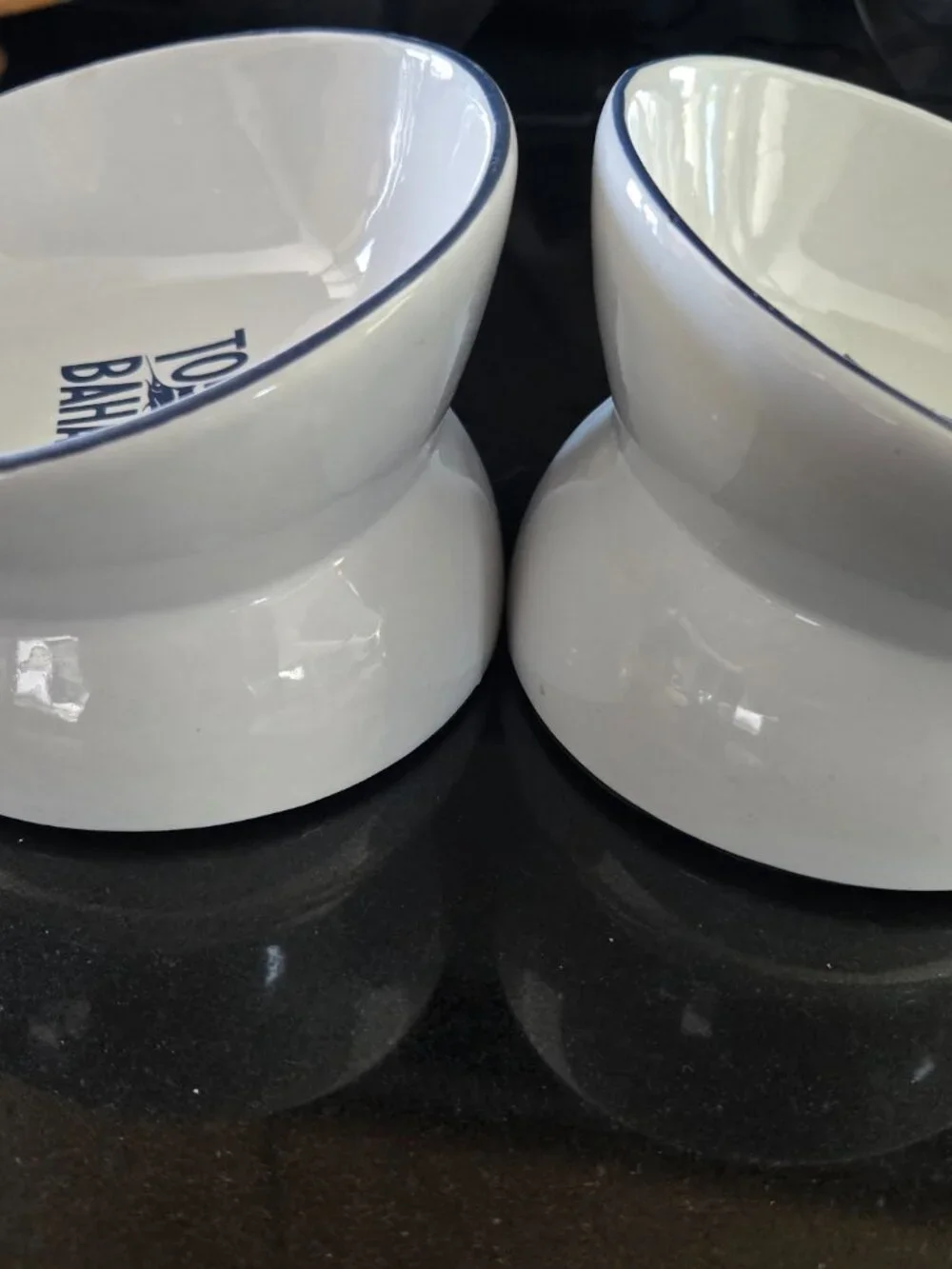 2 Tommy Bahama Pet Bowls